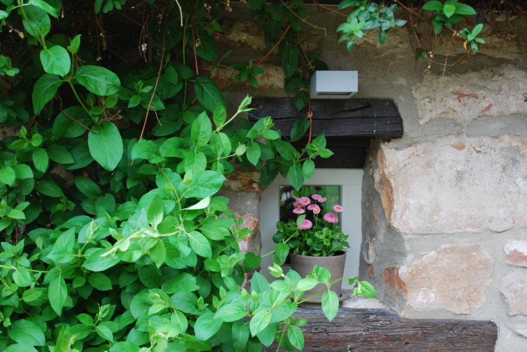 B&B Le Lodge Bourgheim Exterior foto